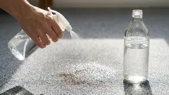 Perché le casalinghe esperte spruzzano l'aceto sul tappeto: 5 segreti che semplificano notevolmente le pulizie